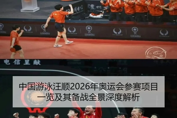 zhong-guo-you-yong-wang-shun-nian-ao-yun-hui-can-sai-xiang-mu-yi-lan-ji-qi-bei-zhan-quan-jing-shen-du-jie-xi-2-366.jpg
